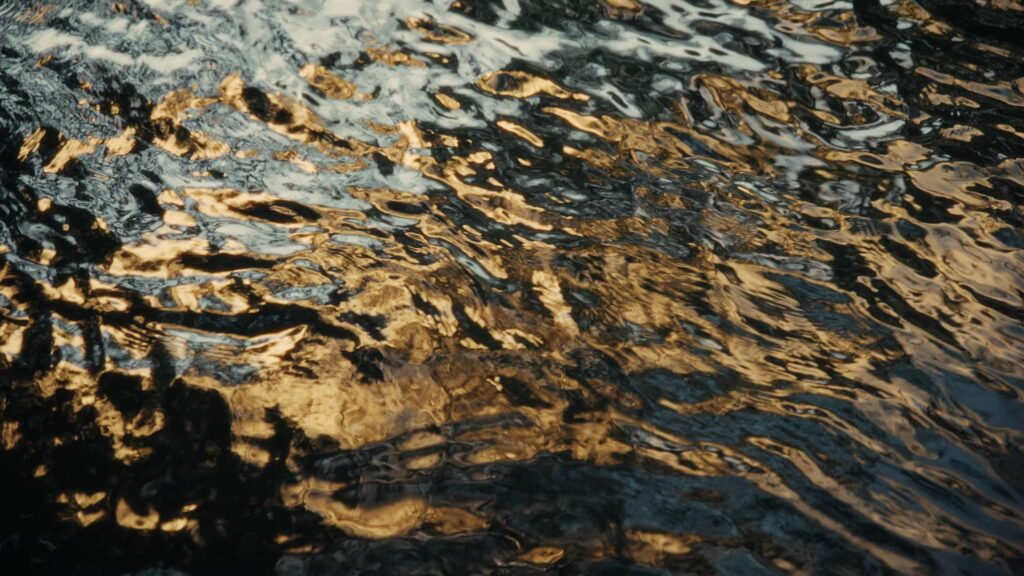 Image of the water surface, shimmering in gold and silver light